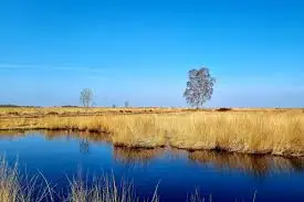 Engbertsdijkvenen